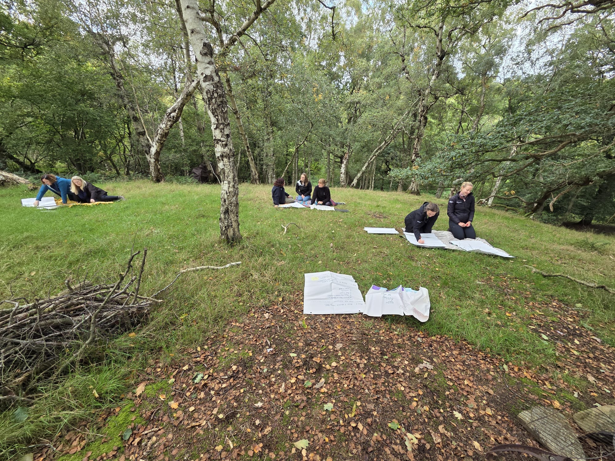 Forum-in-the-woods-